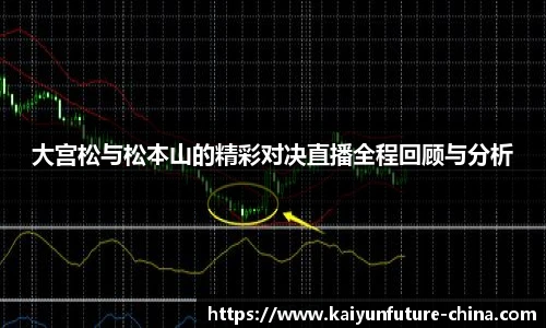 开云app